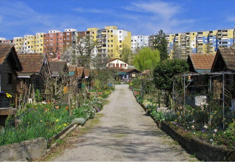avanchets-e1478087876153