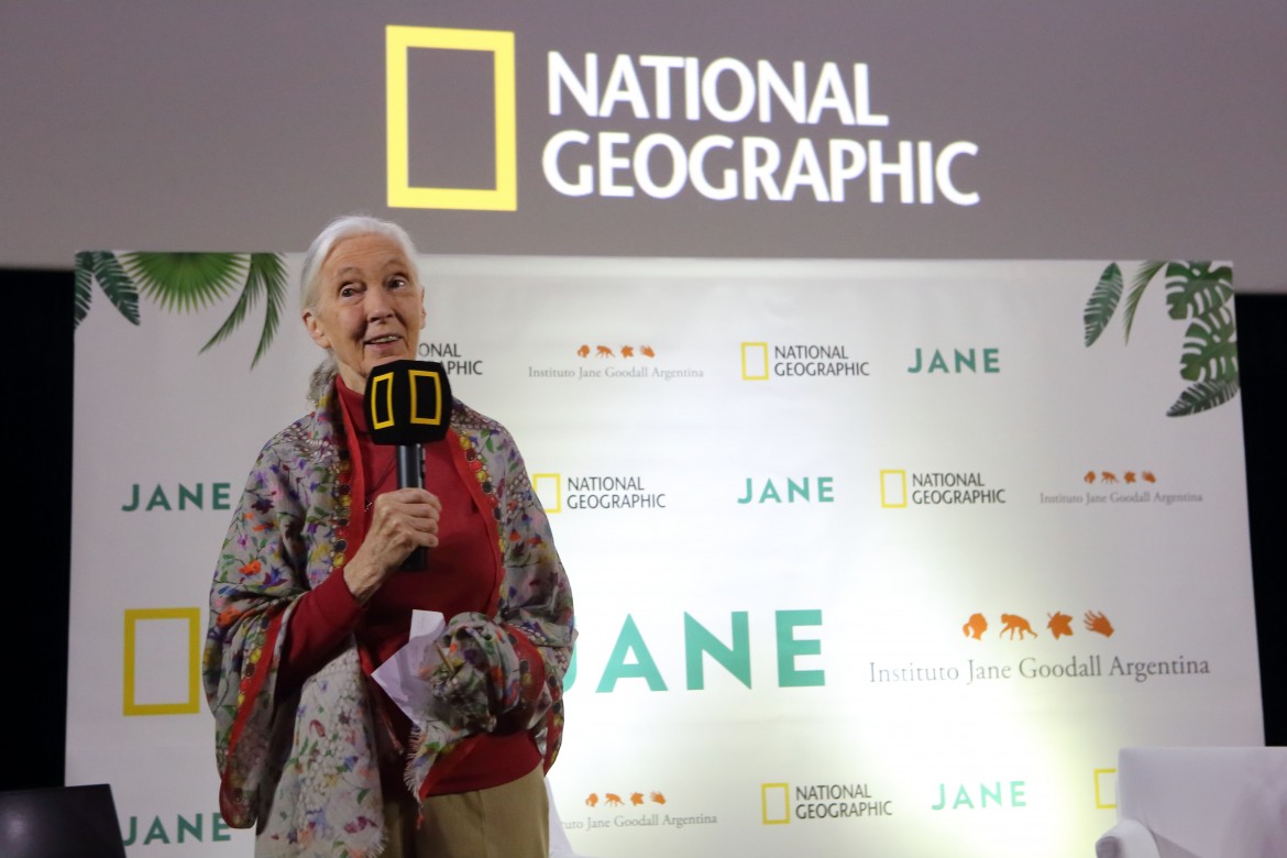 La Dra Jane Goodall @ National Geographic Avant Premiere Jane