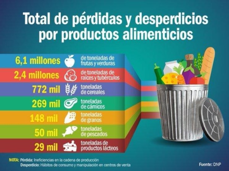 El desperdicio de alimentos continúa y nuestros hábitos pueden ser la ...